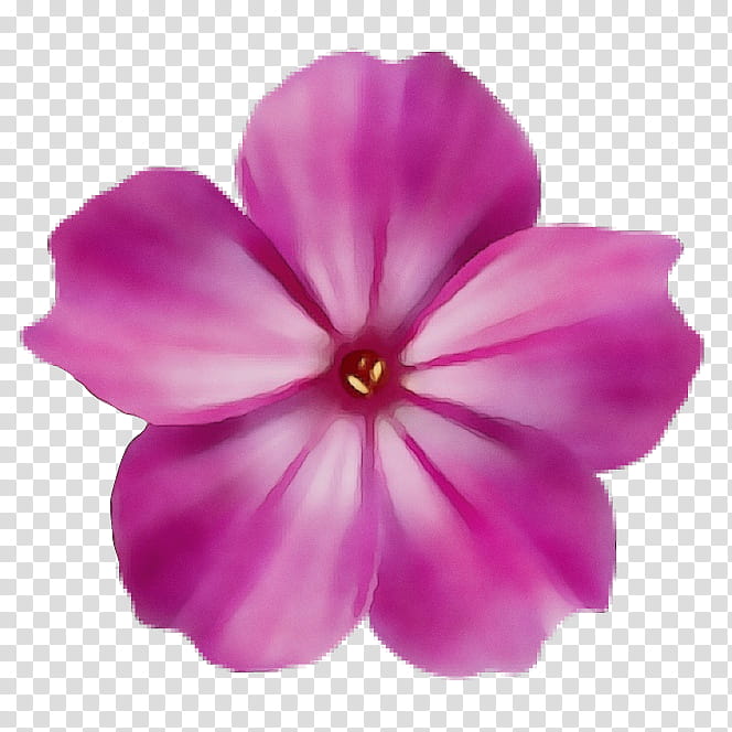 petal pink flower violet plant, Watercolor, Paint, Wet Ink, Flowering Plant, Magenta, Impatiens, Geranium transparent background PNG clipart