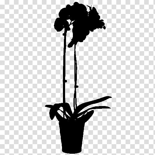 Palm Tree Silhouette, Flower, Plant Stem, Plants, Flowerpot, Houseplant, Blackandwhite, Amaryllis Belladonna transparent background PNG clipart