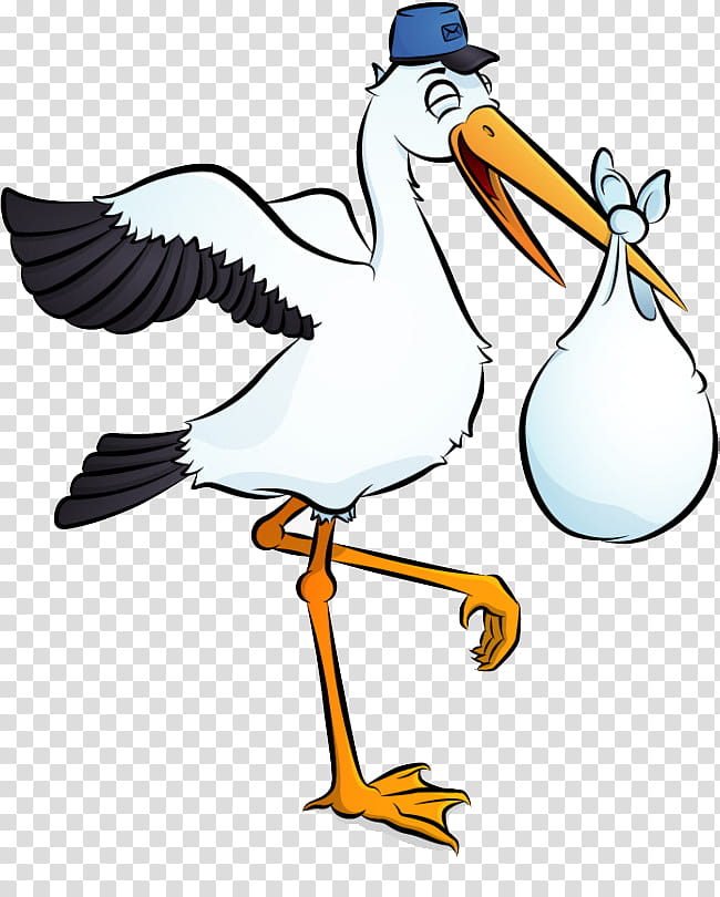 Water, Stork, White Stork, Beak, Bird, Seabird, Water Bird, Wing transparent background PNG clipart