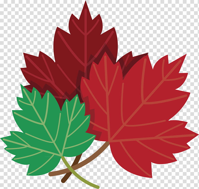 Red Maple Tree, Toronto Maple Leafs, Cartoon, Maple Syrup, Ice Hockey, Plant, Black Maple, Woody Plant transparent background PNG clipart