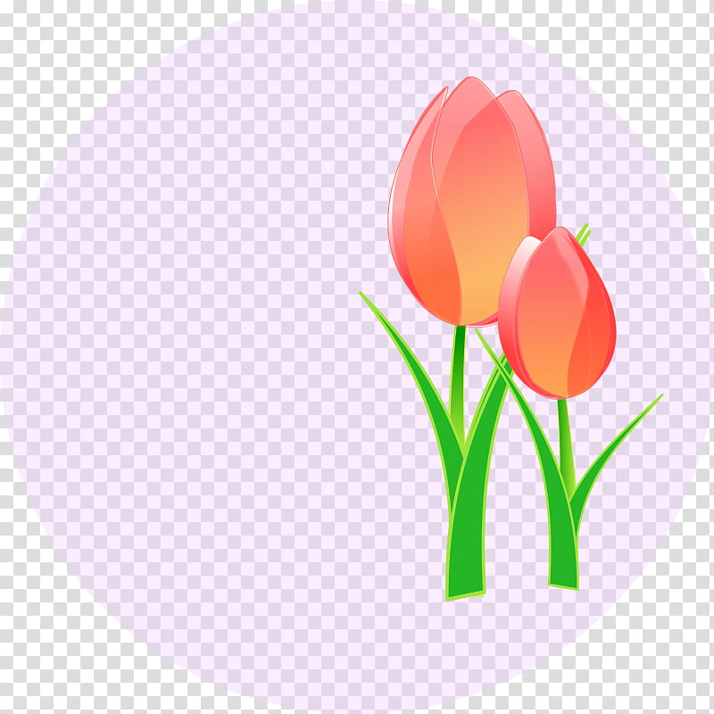 Drawing Of Family, Tulip, Borders , Tulip Festival, Flower, Plant, Petal, Seed Plant transparent background PNG clipart