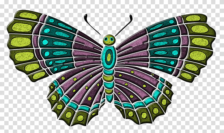 Monarch Butterfly, Moth, Insect, Brushfooted Butterflies, Butterflies And Moths, Birdwing, Ornithoptera Euphorion, Queen Alexandras Birdwing transparent background PNG clipart