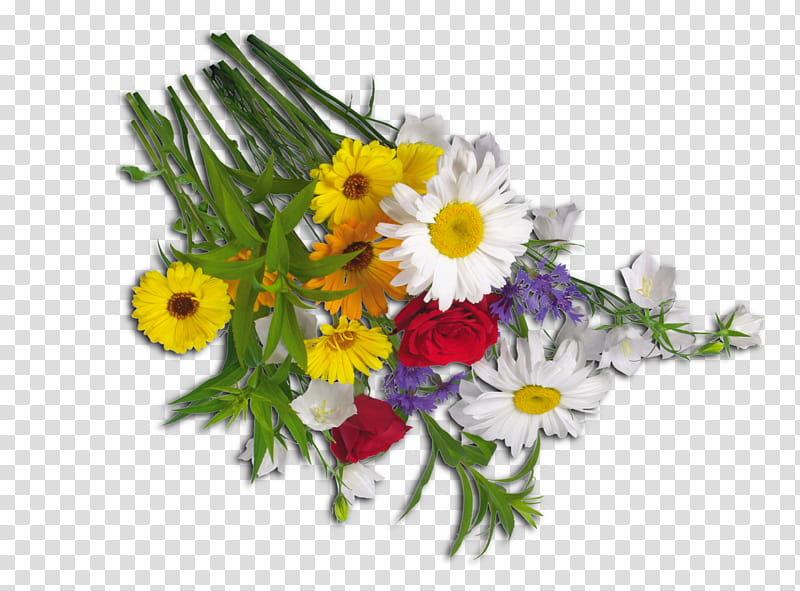 Bouquet Of Flowers, Floral Design, Cut Flowers, Flower Bouquet, Roman Chamomile, Web Counter, Garden, Home Page transparent background PNG clipart