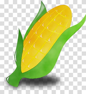 Leaf Watercolor, Paint, Wet Ink, Corn On The Cob, Seasonal Clipart, Maize, Popcorn, Sweet Corn transparent background PNG clipart thumbnail