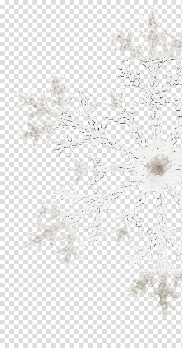 Snowflake, Snowflake , Crystal, Frost, Ice, Ice Age, White, Branch transparent background PNG clipart