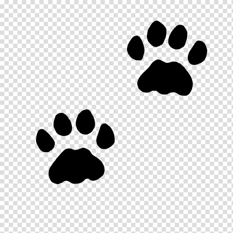 Dog And Cat, Paw, Pet, Pet Sitting, Claw, Animal Track, Line, Snout ...