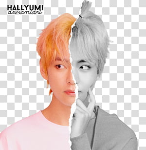 Bts Love Yourself Tear U Version Hallyumi Transparent Background Png Clipart Hiclipart