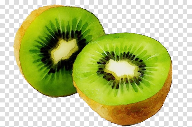 Kiwi, Watercolor, Paint, Wet Ink, Kiwifruit, Green, Food, Plant transparent background PNG clipart