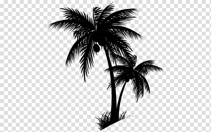 Coconut Tree, Jamaica, Onam, Rastafari, 2018, Jamaican Patois, Review, India transparent background PNG clipart