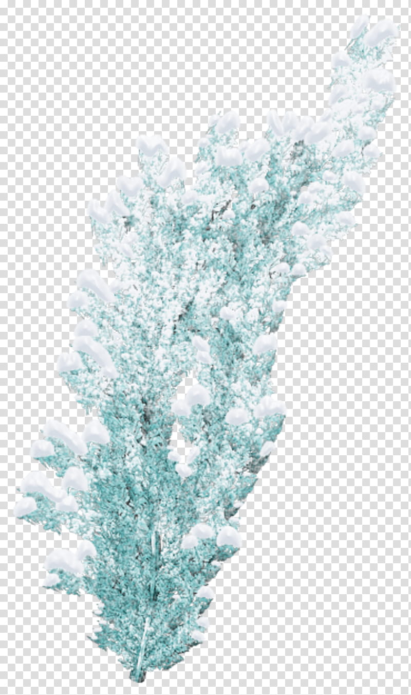 White Christmas Tree, Pine, Christmas Day, Snow, Cedar, Conifer Cone, Blog, Green transparent background PNG clipart