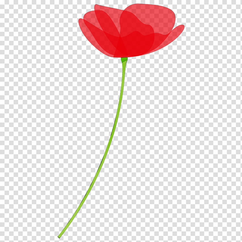 red flower tulip plant plant stem, Poppy Flower, Watercolor, Paint, Wet Ink, Petal, Coquelicot, Pedicel transparent background PNG clipart