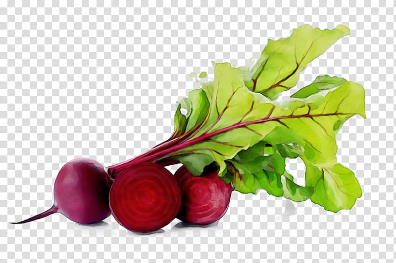 Plant Leaf, Beetroots, Food, Vegetable, Bischofszell, Ingredient, Herb, Vegetarian Cuisine transparent background PNG clipart