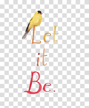 yellow bird illustration transparent background PNG clipart thumbnail