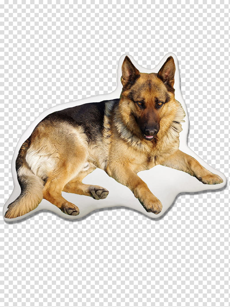 Cartoon Dog, German Shepherd, King Shepherd, Puppy, Kunming Wolfdog, White Shepherd, Siberian Husky, Lancashire Heeler transparent background PNG clipart