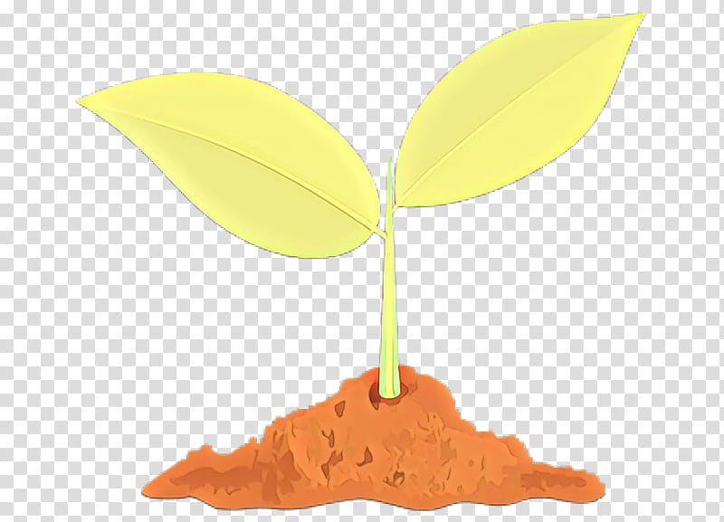 Orange, Cartoon, Leaf, Yellow, Tree, Woody Plant, Soil, Maidenhair Tree transparent background PNG clipart