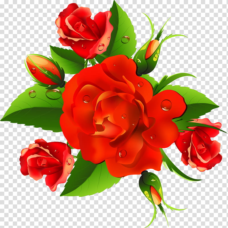 floral flowers, Red, Plant, Petal, Garden Roses, Cut Flowers, Bouquet, Rose Family transparent background PNG clipart