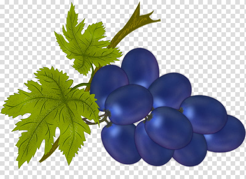 Contrasting Black Grape, blue grape fruits illustration transparent background PNG clipart