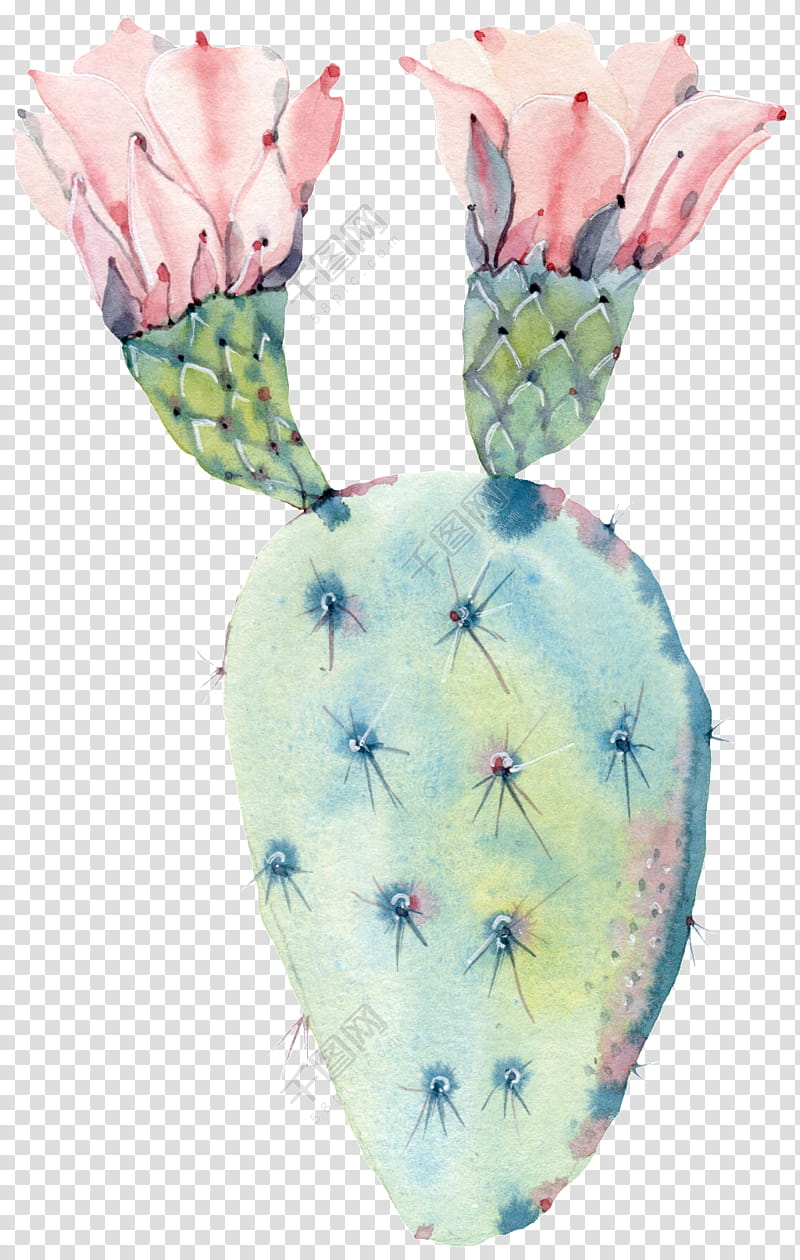Pink Texture, Cactus, Watercolor Painting, Canvas Print, Succulent Plant, Saguaro, Printmaking, Modern Art transparent background PNG clipart