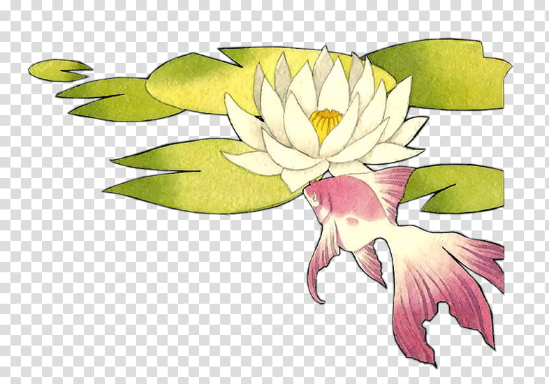 Goldfishes and lotus xp, white lily flower and pink fish illustration transparent background PNG clipart