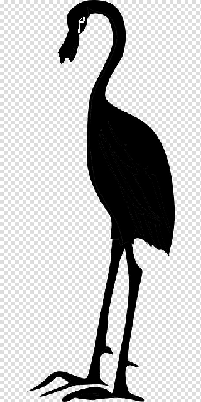 Crane Bird, Duck, Goose, Fowl, Neck, Silhouette, Beak, Cranelike Bird transparent background PNG clipart