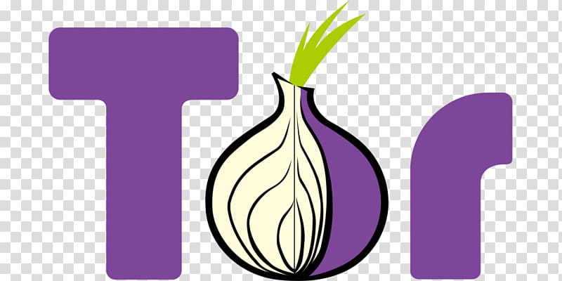 Violet Flower, Tor, Tor Browser, Onion Routing, Web Browser, Dark Web, Tor Project Inc, Anonymity transparent background PNG clipart