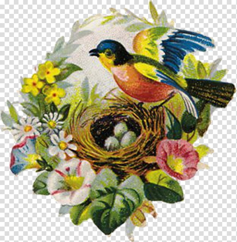 vintage bird nest clip art