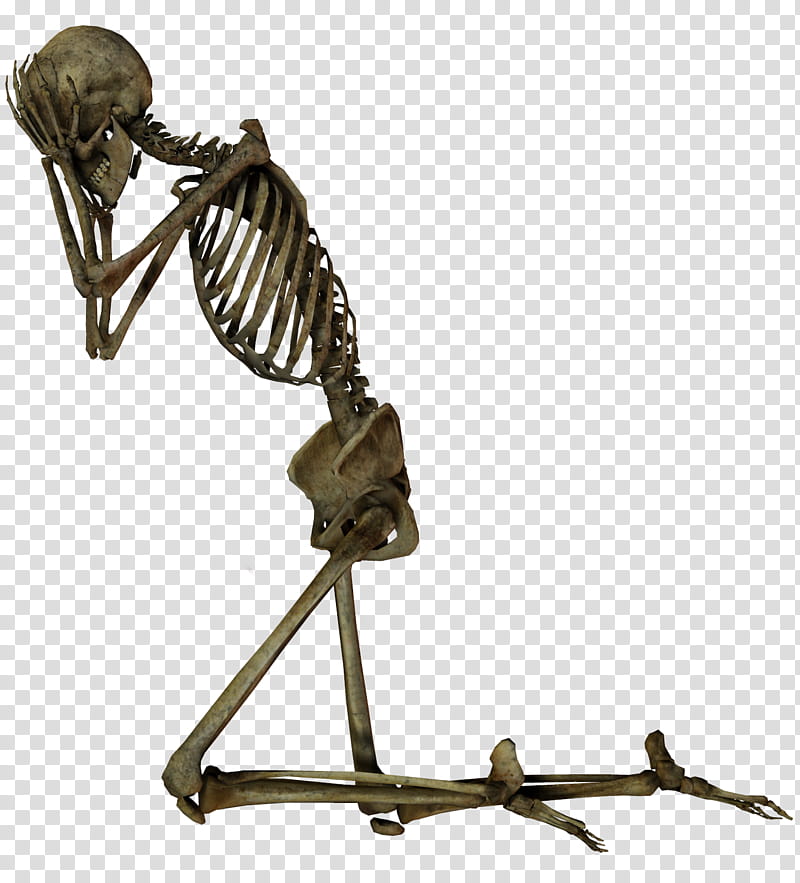 E S Skelleton V, human skeleton kneeling transparent background PNG clipart