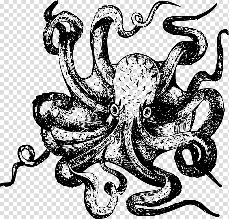 Octopus, Mug, Squid, Cup, Tshirt, Kraken, Teacup, Octopus Mug transparent background PNG clipart