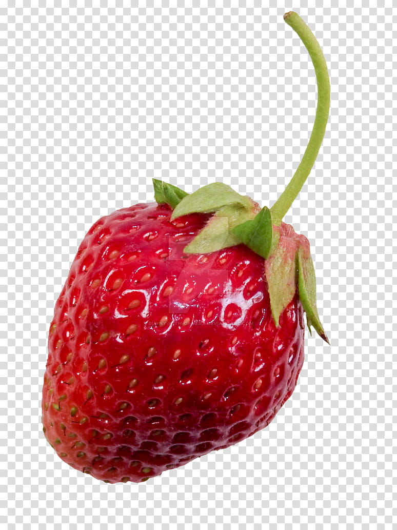 Flower Drawing, Strawberry, Fruit, Food, Berries, Accessory Fruit, Wild Strawberry, Natural Foods transparent background PNG clipart