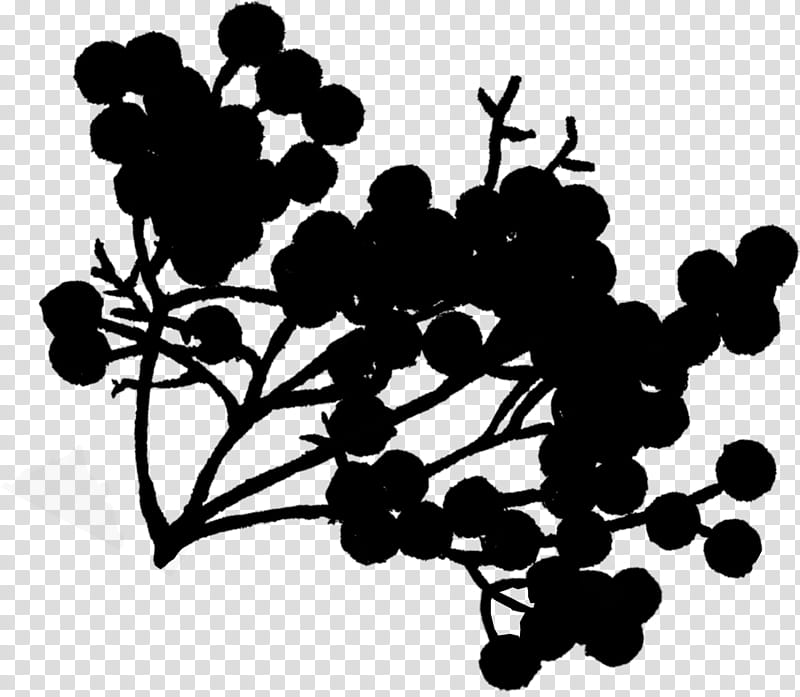 Flower Leaves, Grape, Silhouette, Computer, Leaf, Grapevine Family, Branch, Plant transparent background PNG clipart