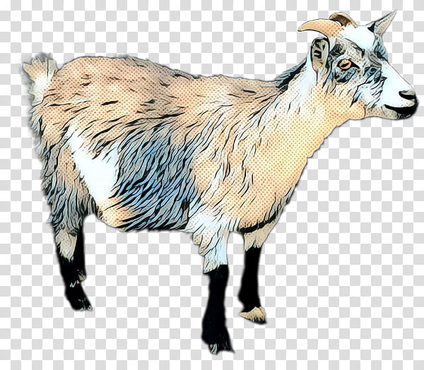 Eid Al Adha Islamic, Eid Mubarak, Muslim, Goat, Feral Goat, Alpine Ibex, Sheep, Chiva Bus transparent background PNG clipart