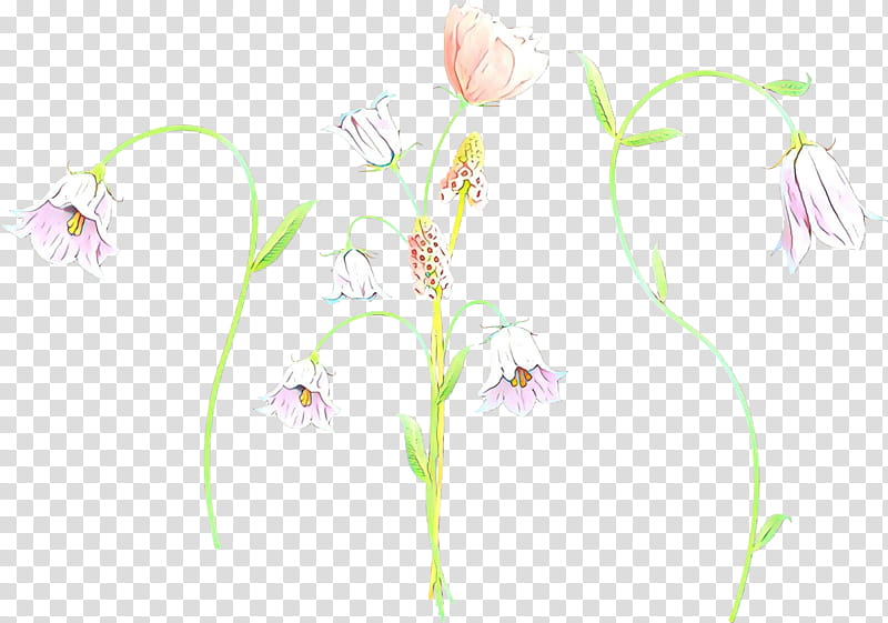 pedicel flower plant pink plant stem, Cartoon, Flowering Plant, Alismatales, Wildflower transparent background PNG clipart