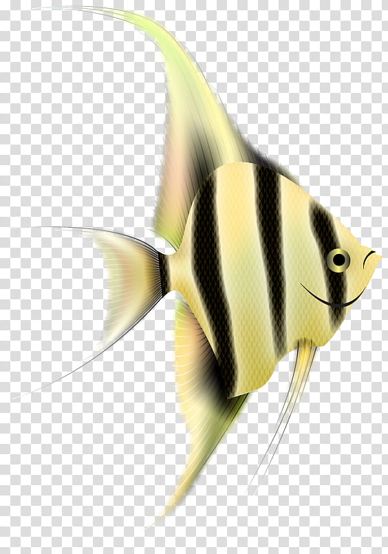 fish pomacanthidae yellow fish pomacentridae, Butterflyfish, Fin, Bonyfish transparent background PNG clipart