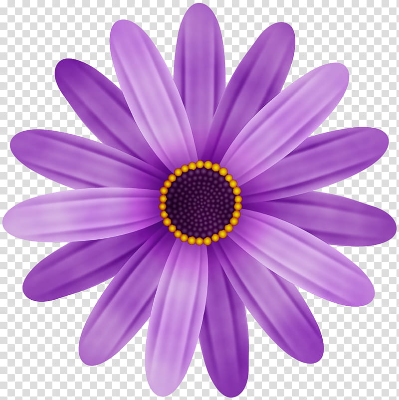 Daisy, Watercolor, Paint, Wet Ink, Violet, Petal, Purple, African Daisy transparent background PNG clipart