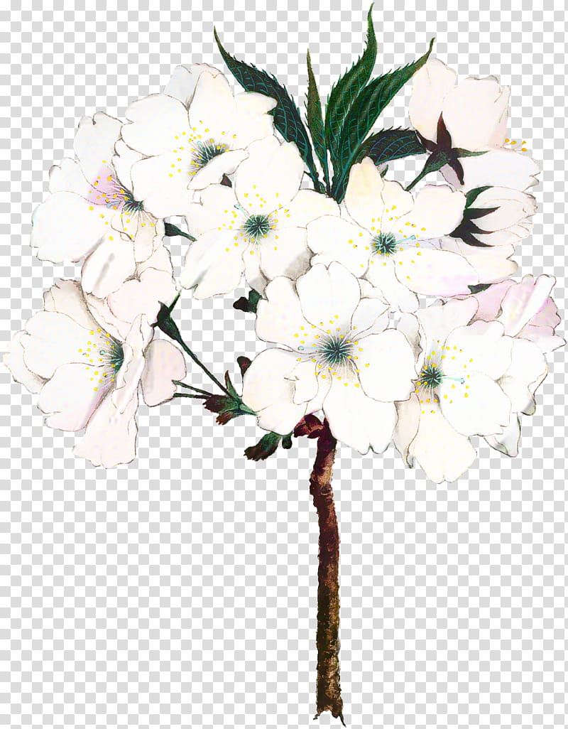 Cherry Blossom Tree Drawing, Floral Design, Flower, Cerasus, Flower Bouquet, Cut Flowers, Watercolor Painting, Cherries transparent background PNG clipart