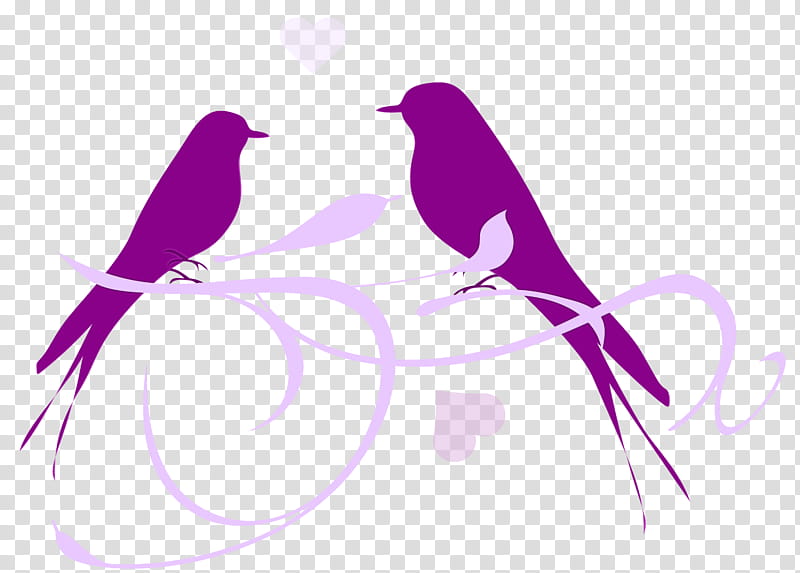 violet purple bird branch silhouette, Watercolor, Paint, Wet Ink, Magenta, Beak, Perching Bird, Wing transparent background PNG clipart