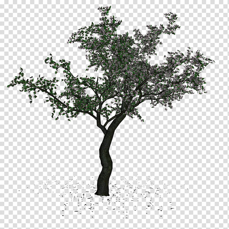 Cherry Tree , green-leafed tree artwork on blue background transparent background PNG clipart