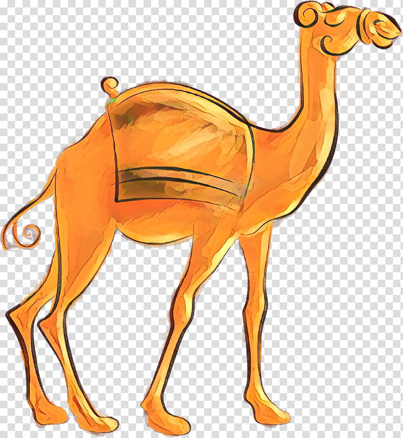 Watercolor Animal, Dromedary, Watercolor Painting, Cartoon, Sheep, Humour, Camel, Human transparent background PNG clipart