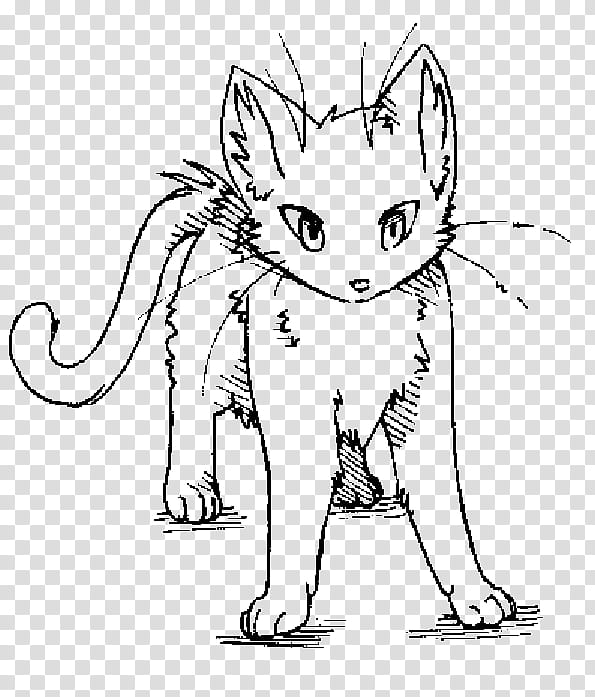 .:Free  Use:. Cat base #, black lineart drawing of a cat transparent background PNG clipart