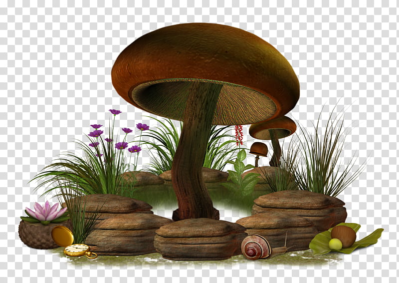 Mushroom, brown mushroom illusration transparent background PNG clipart