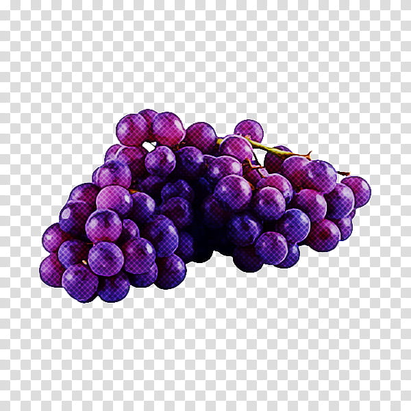 grape violet purple fruit grapevine family, Plant, Vitis, Food, Seedless Fruit, Superfood, Berry, Magenta transparent background PNG clipart