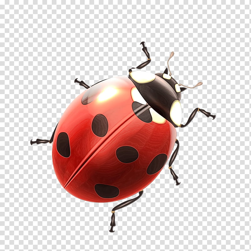 Ladybug, Watercolor, Paint, Wet Ink, Insect, Beetle, Leaf Beetle, Blister Beetles transparent background PNG clipart