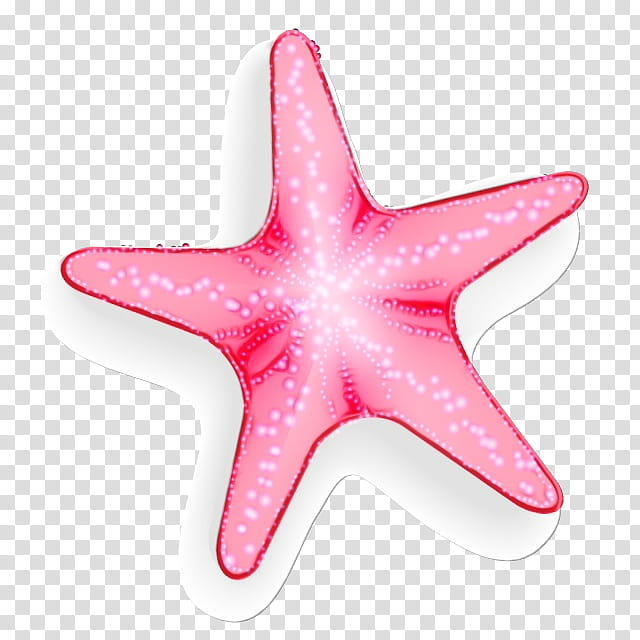 starfish pink marine invertebrates star, Watercolor, Paint, Wet Ink transparent background PNG clipart