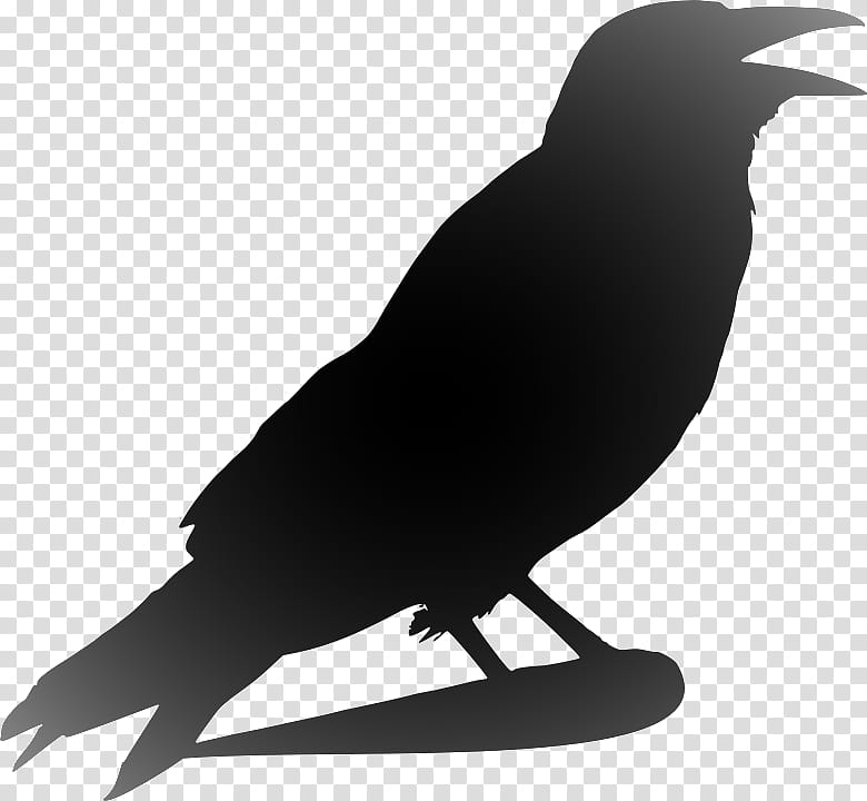 Bird Line Art, Crow, Silhouette, Pied Crow, Crow Family, Document, Beak ...