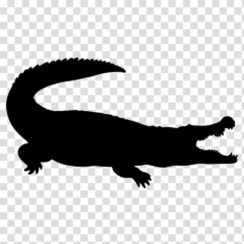 Alligator, Alligators, Crocodile, Silhouette, Black Caiman, Reptile, Crocodilia, True Salamanders And Newts transparent background PNG clipart