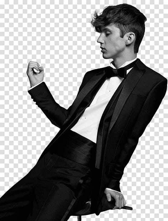 TROYE SIVAN, TS () transparent background PNG clipart