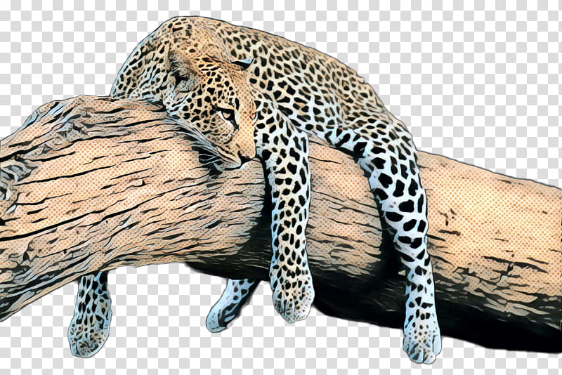 Cars, Leopard, Cheetah, Ocelot, Fur, Neck, Animal, Jaguar Cars transparent background PNG clipart