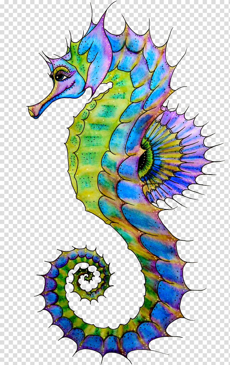 Fish, Northern Seahorse, Spiny Seahorse, Animal, Syngnathidae, Common Seadragon, Drawing, Bonyfish transparent background PNG clipart
