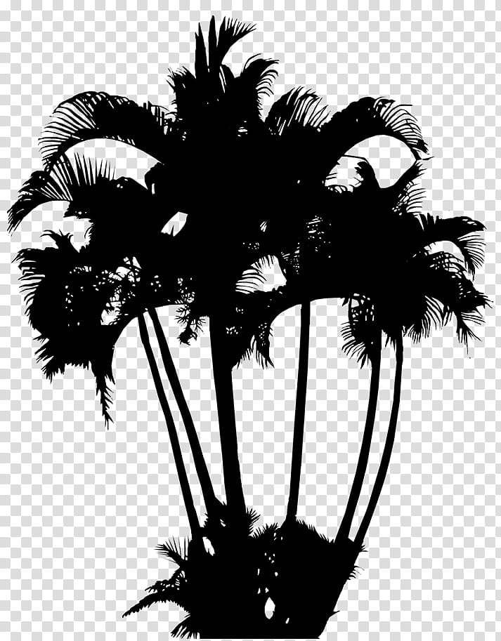 Coconut Tree, Palm Trees, Logo, Plants, Howea Forsteriana, Kaisercraft Palm Trees Decorative Die, Arecales, Blackandwhite transparent background PNG clipart