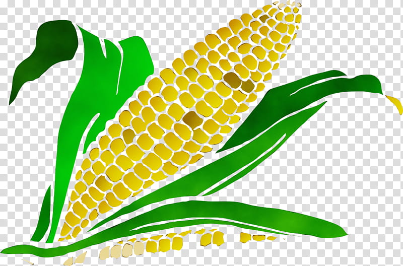 Watercolor Leaf, Paint, Wet Ink, Maize, Corn On The Cob, Computer Icons, Encapsulated PostScript, Sweet Corn transparent background PNG clipart